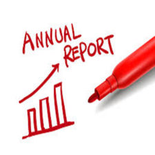 NSPS - Annual Report1